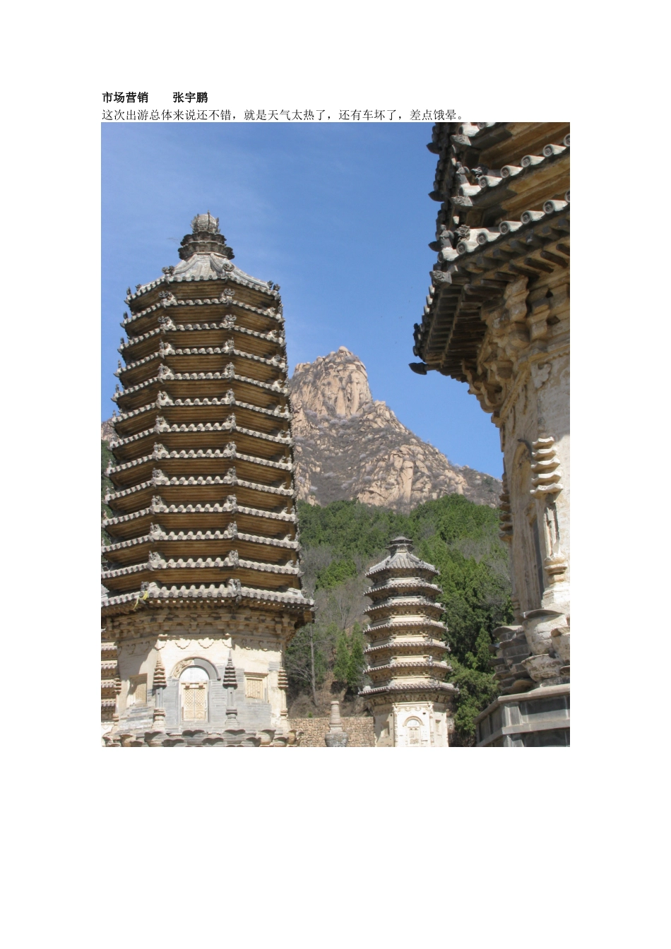 市场营销张宇鹏_第1页