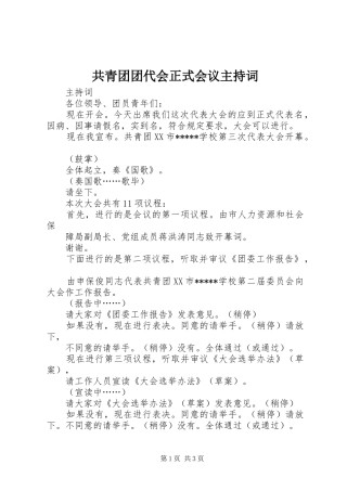 共青团团代会正式会议主持稿(2)