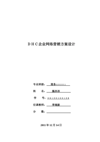 DHC企业网络营销方案设计