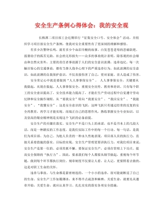 《安全管理文档》之安全生产条例心得体会我的安全观 