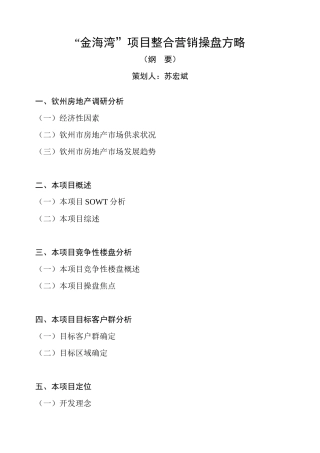 “金海湾”项目整合营销方案