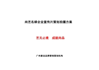 尚意电视专题片方案