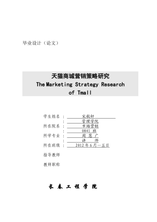 天猫商城营销策略研究分析