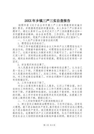 20XX年乡镇三严三实自查报告