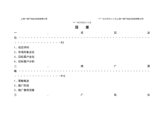 上海某广场营销执行方案)