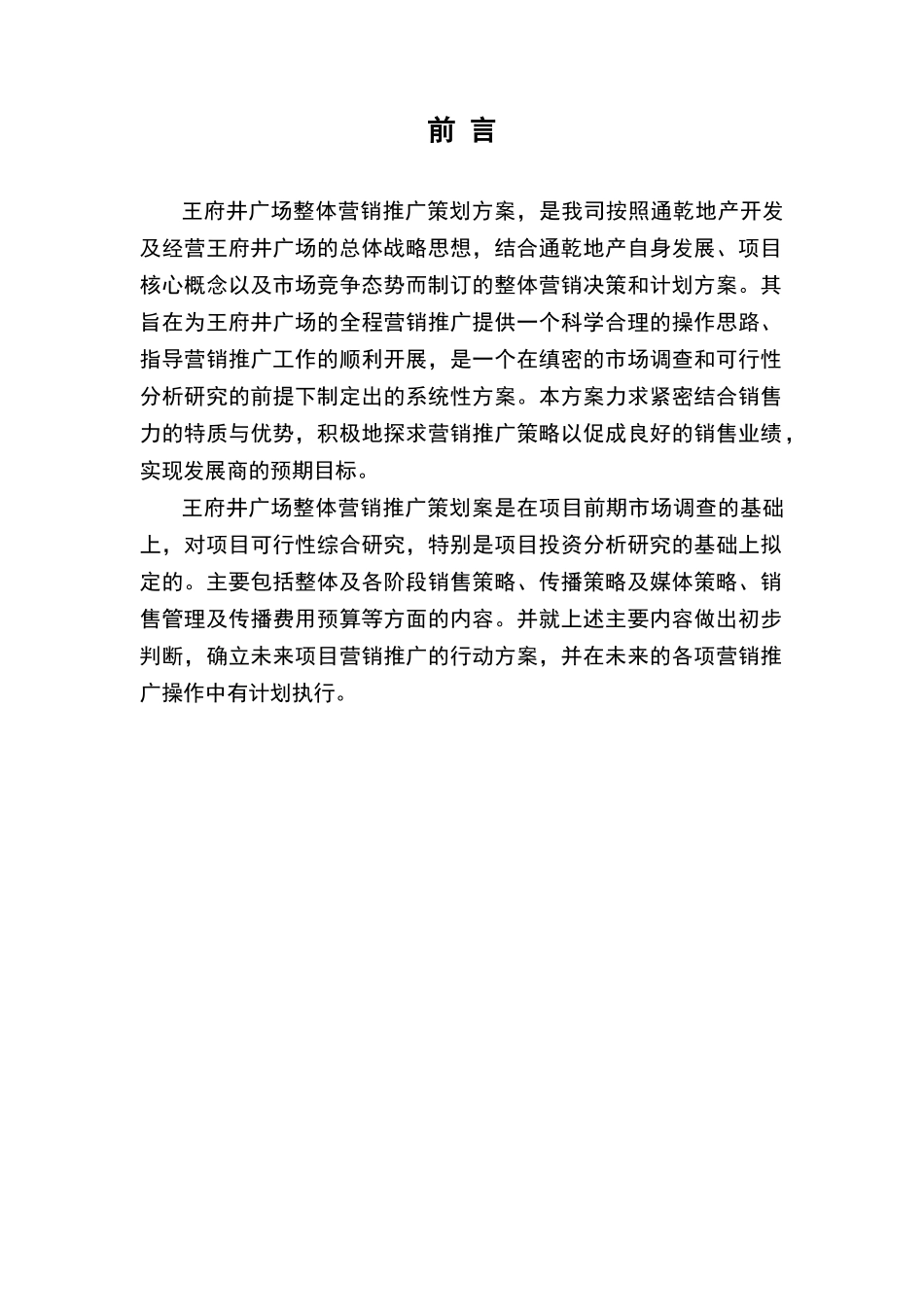 山东淄博王府进广场营销推广策划案_第2页