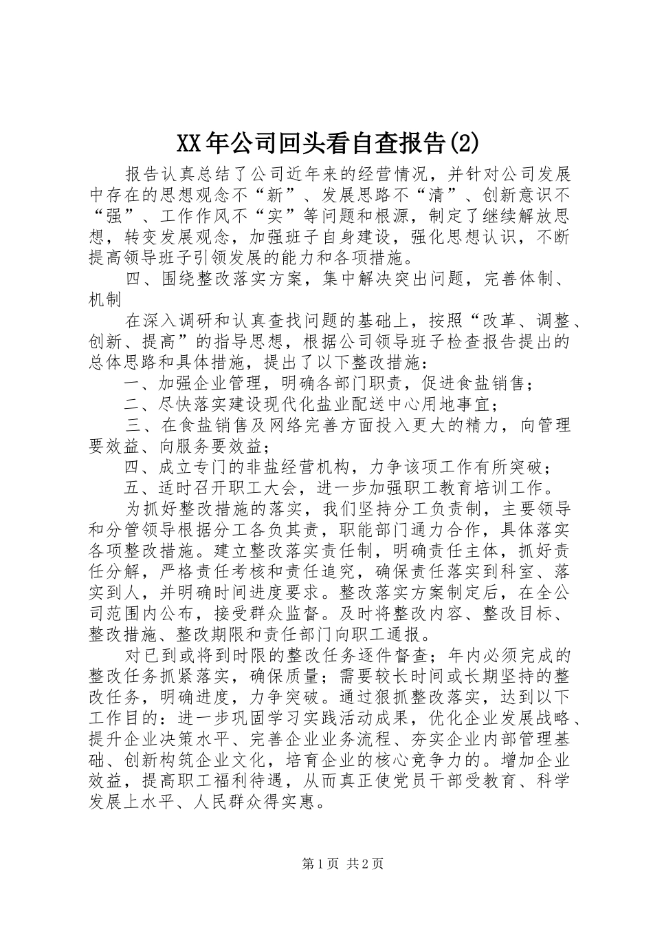 XX年公司回头看自查报告_第1页