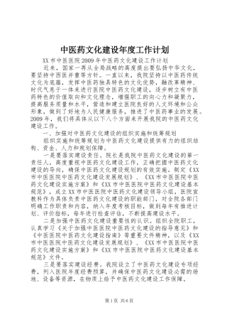 中医药文化建设年度工作计划