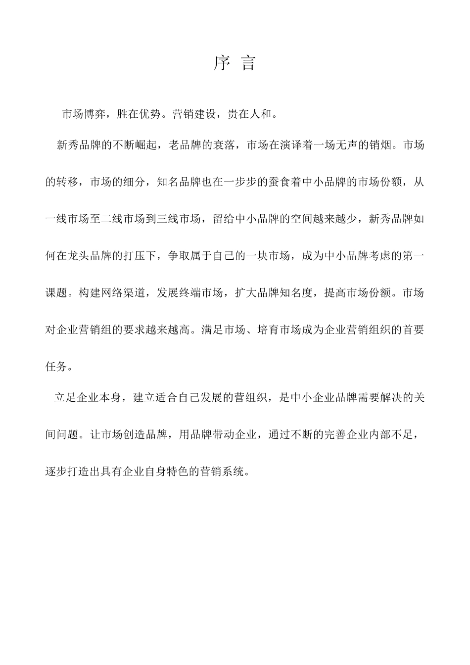 市场营销计划案_第2页