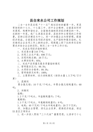 县自来水公司工作规划