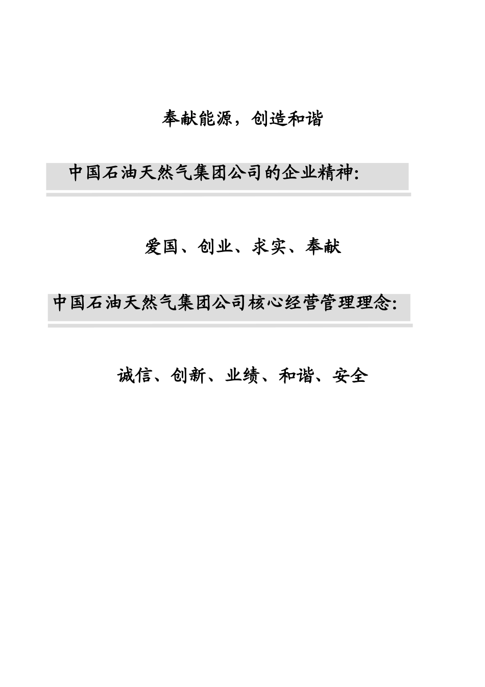 中国石油河南销售分公司XXXX0922_第3页