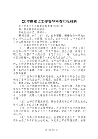 XX年度重点工作督导检查汇报材料 