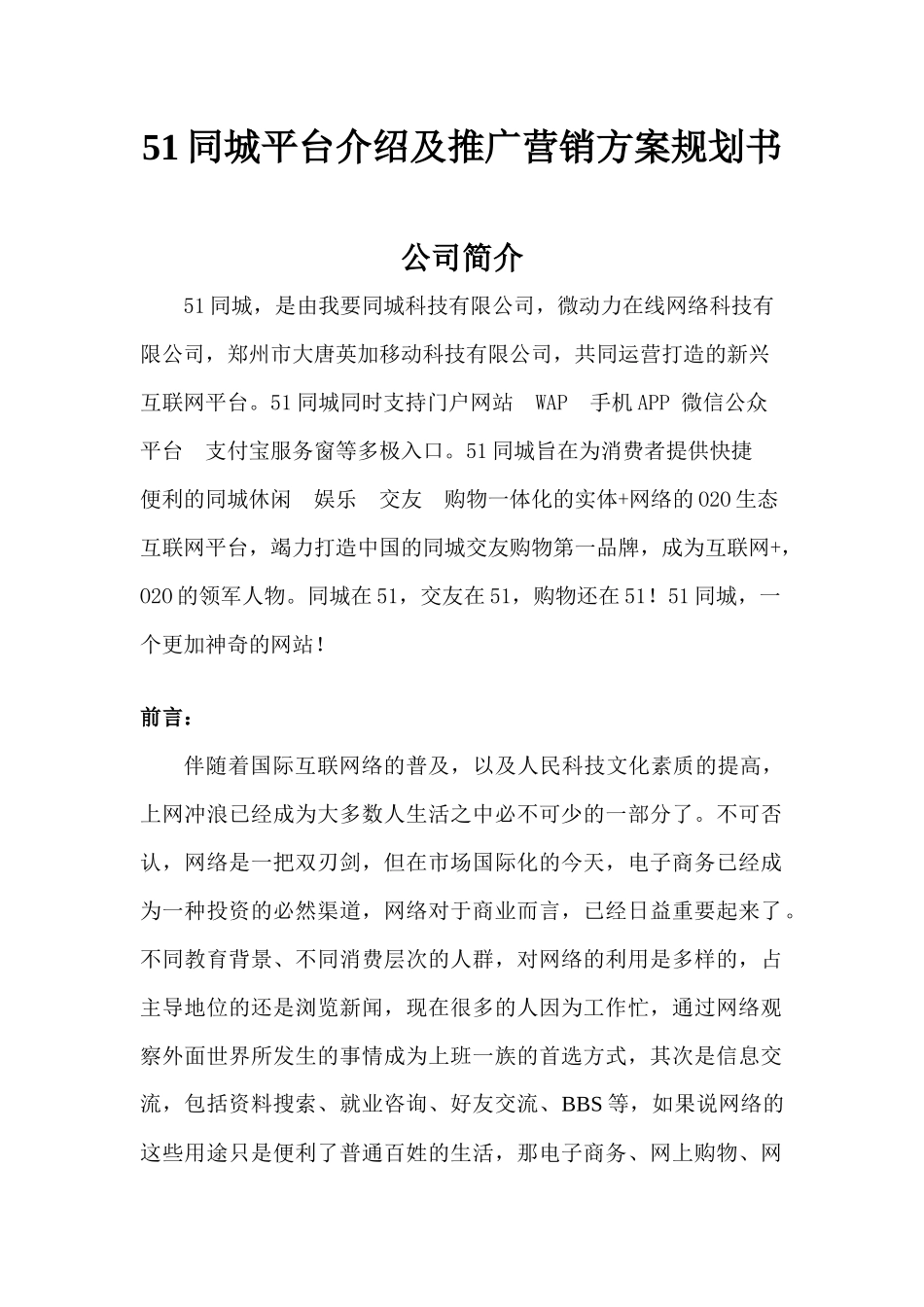 同城介绍及推广营销方案规划书_第1页
