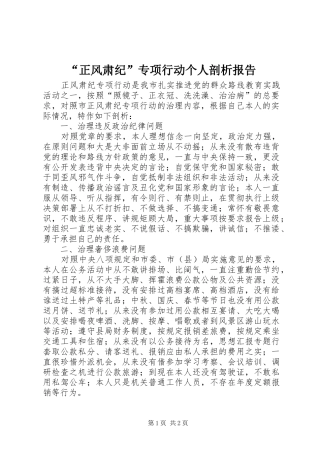 “正风肃纪”专项行动个人剖析报告 