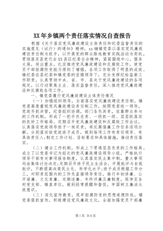 XX年乡镇两个责任落实情况自查报告 