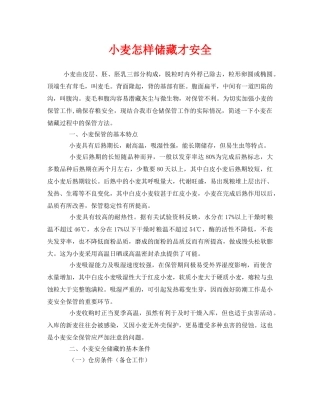 《安全管理》之小麦怎样储藏才安全 