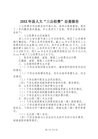 20XX年县人大“三公经费”自查报告