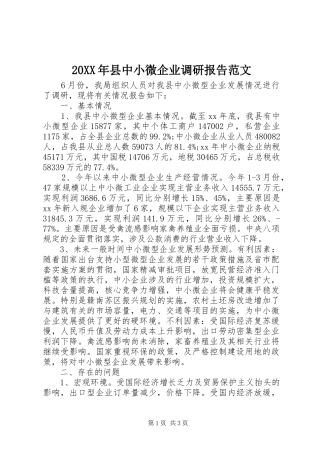20XX年县中小微企业调研报告范文