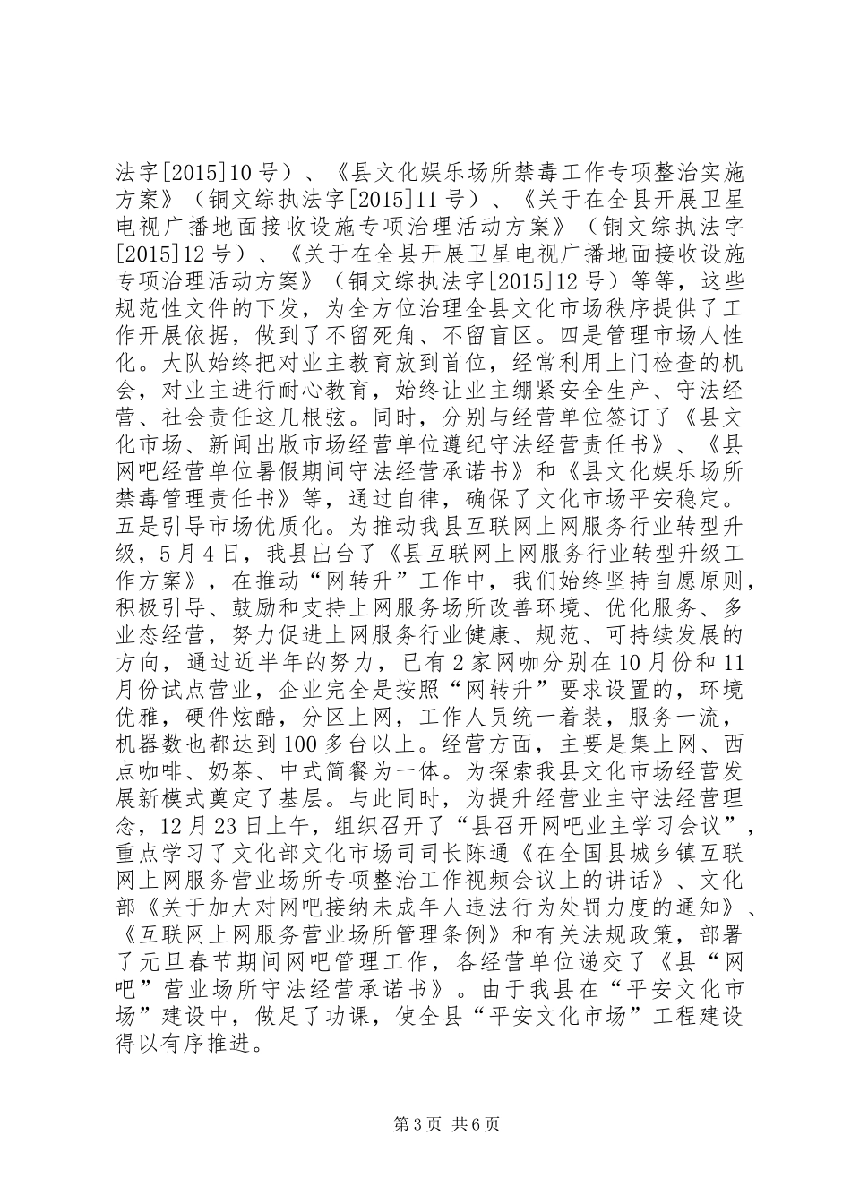 乡镇文化市场综合执法大队工作总结及工作计划_第3页