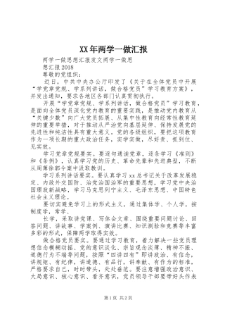 XX年两学一做汇报 