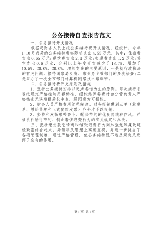 公务接待自查报告范文 