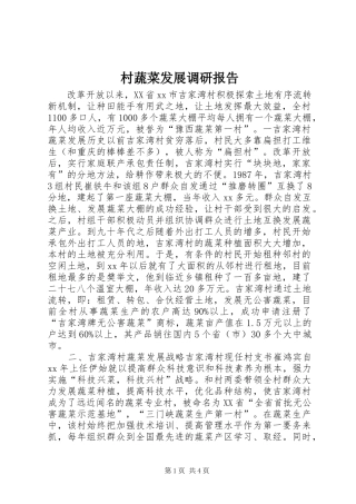 村蔬菜发展调研报告 