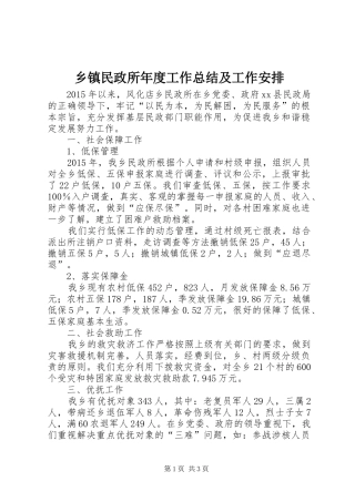 乡镇民政所年度工作总结及工作安排