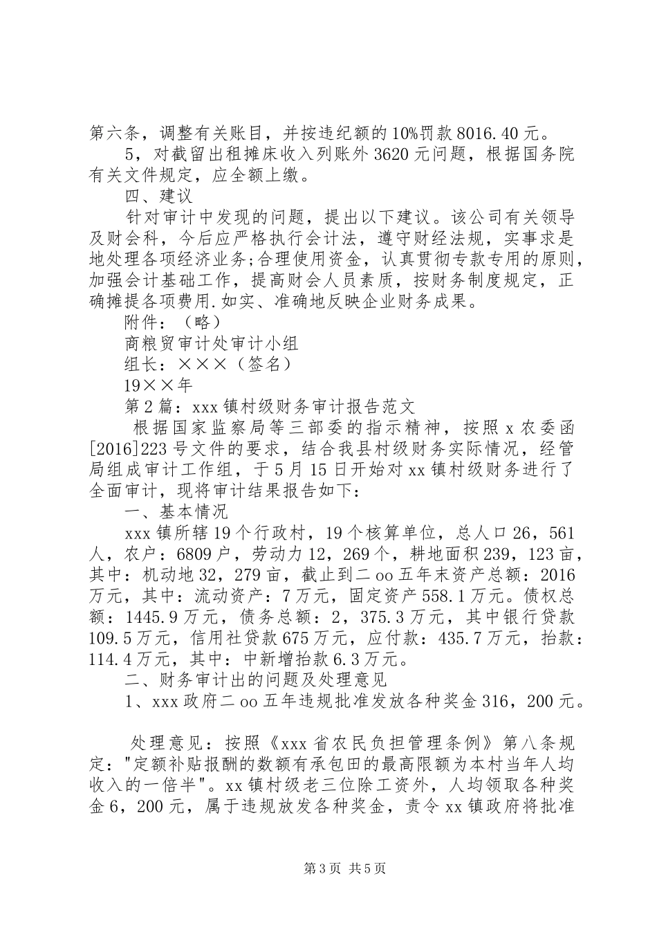 20XX年财务审计报告_第3页