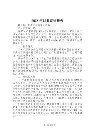 20XX年财务审计报告