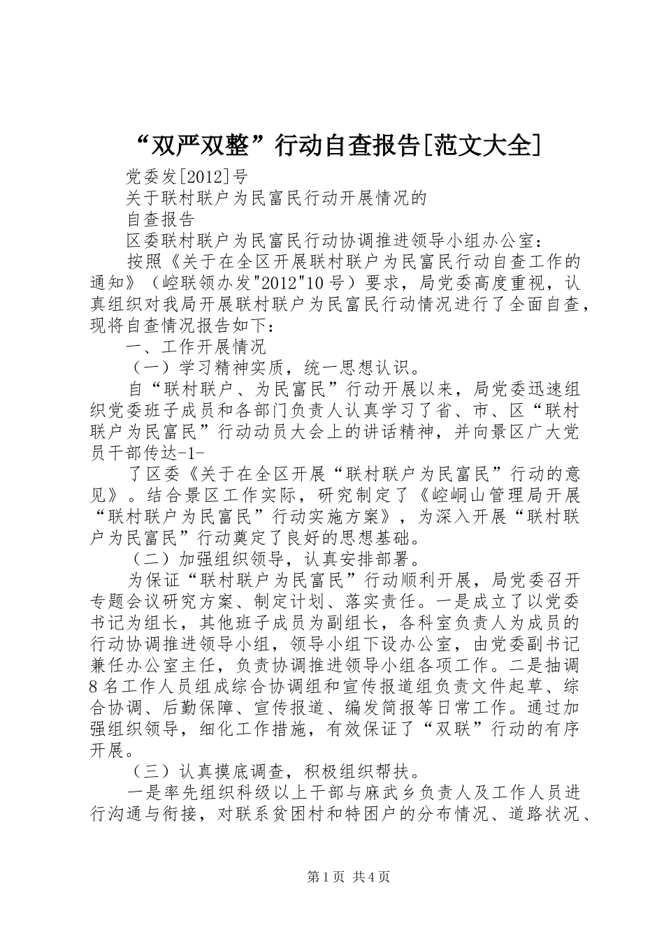 “双严双整”行动自查报告[范文大全] _第1页