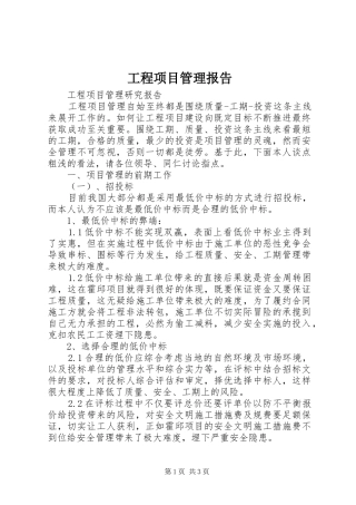 工程项目管理报告 