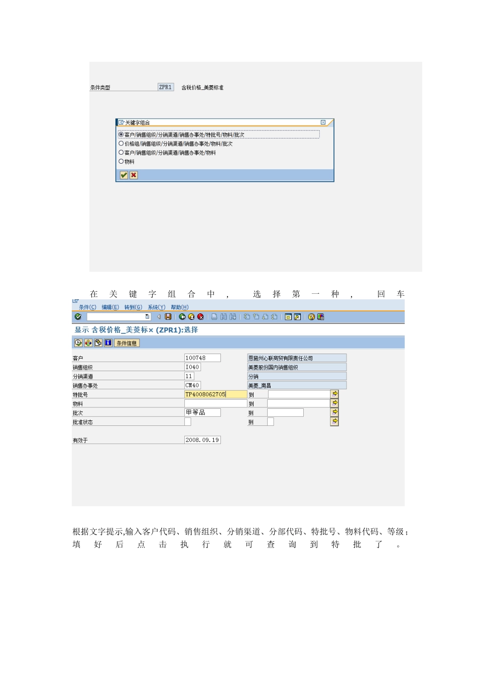 FB-CX-002-VK13价格、扣点、限量销售查询操作手册_第2页