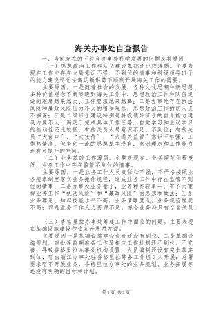 海关办事处自查报告 