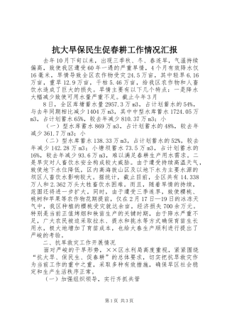抗大旱保民生促春耕工作情况汇报 