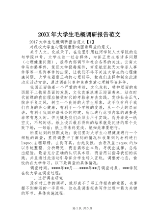 20XX年大学生毛概调研报告范文