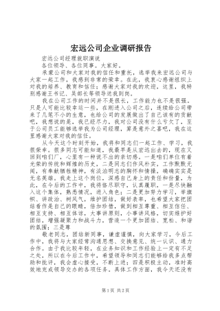 宏远公司企业调研报告 