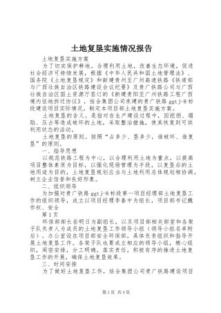 土地复垦实施情况报告1 
