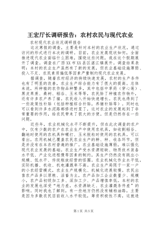 王宏厅长调研报告：农村农民与现代农业 