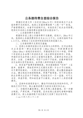 公务接待费自查综合报告 