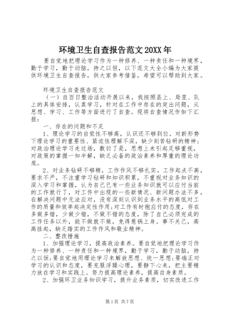 环境卫生自查报告范文20XX年