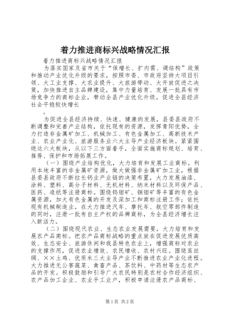 着力推进商标兴战略情况汇报 