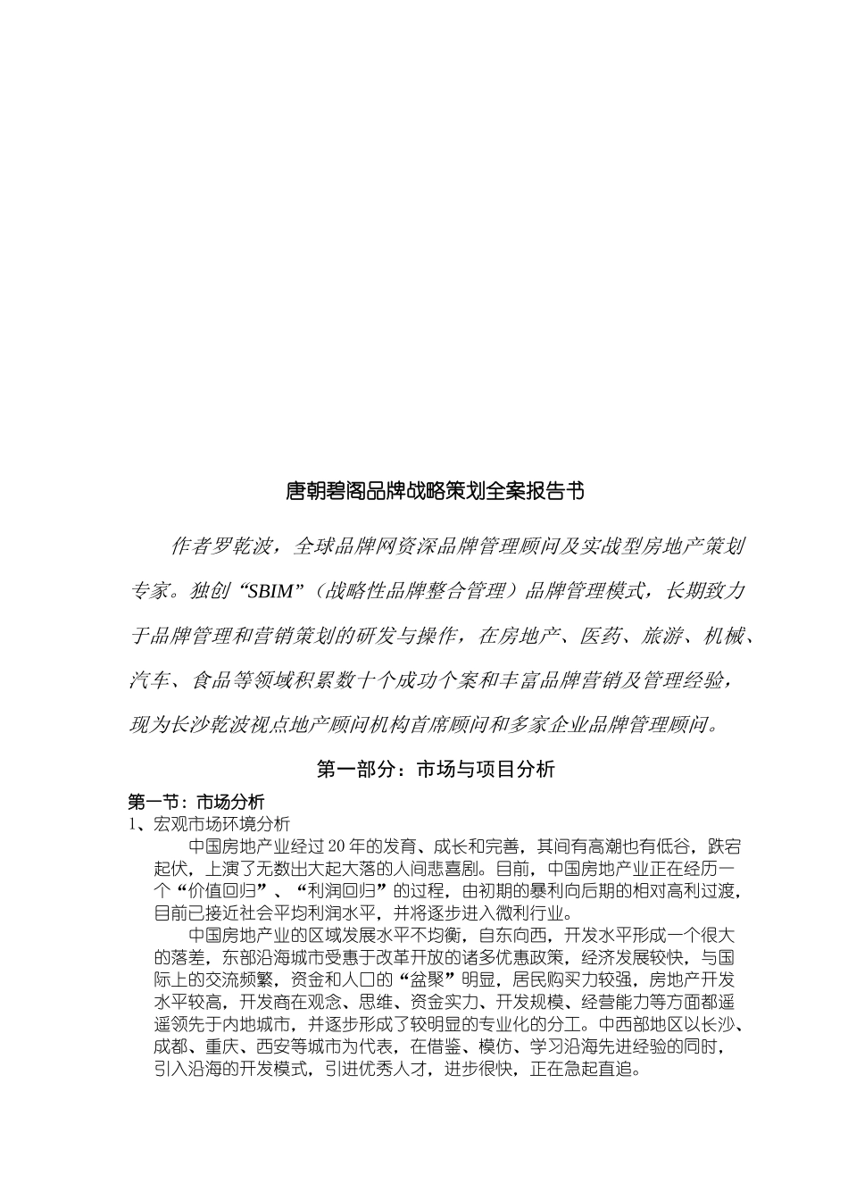 唐朝碧阁品牌营销战略策划全案报告书_第1页