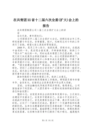 在共青团XX省十二届六次全委(扩大)会上的报告 