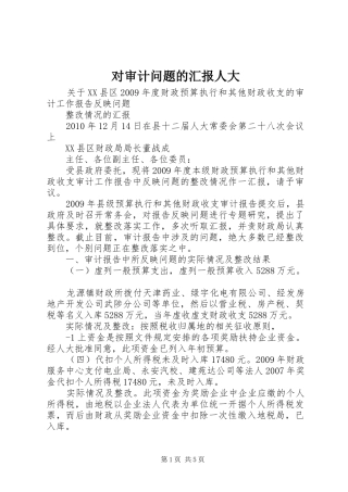 对审计问题的汇报人大 