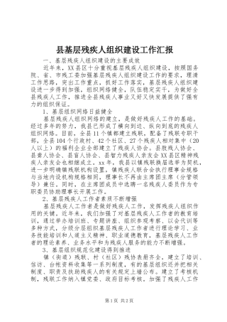 县基层残疾人组织建设工作汇报 