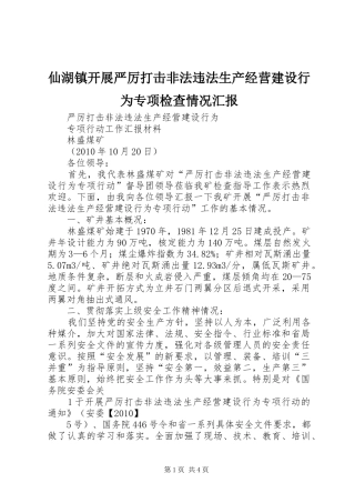 仙湖镇开展严厉打击非法违法生产经营建设行为专项检查情况汇报 