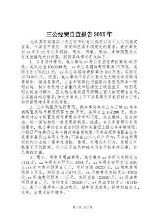 三公经费自查报告20XX年