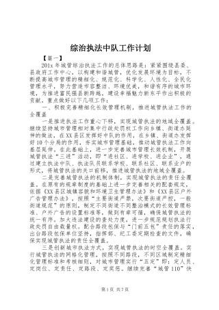 综治执法中队工作计划