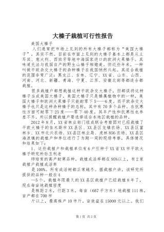 大榛子栽植可行性报告2