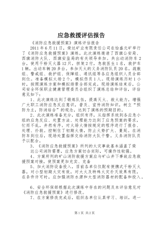 应急救援评估报告 